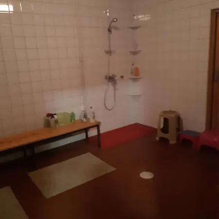 Minimotel Motel